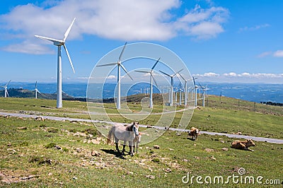 Landscape with horses, wind turbines for electric power generation, blue sky and clouds. Stock Photo