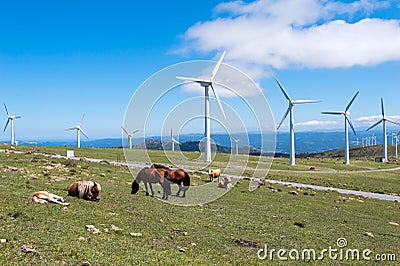 Landscape with horses, wind turbines for electric power generation Stock Photo