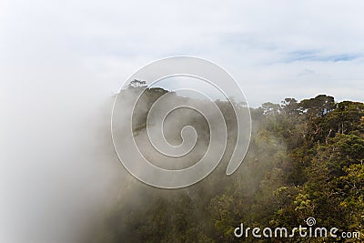 Landscape in Horton Plains National Park, Sri Lanka. Stock Photo