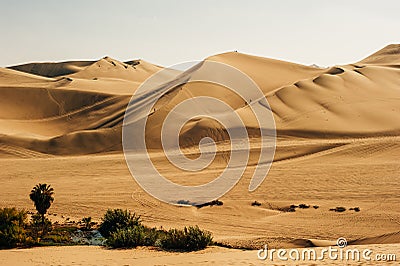Landscape of Huacachina desert. in Ica, Peru Stock Photo