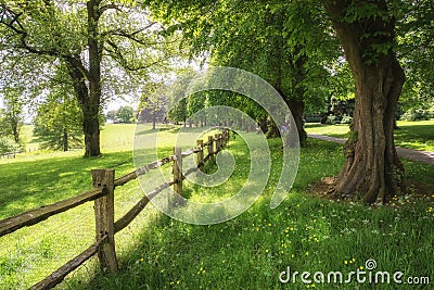 Landscape image of beautiful vibrant lush green forest woodland Stock Photo