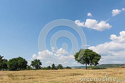 Serene Summer Beauty: A Captivating Mountain Landscape Stock Photo