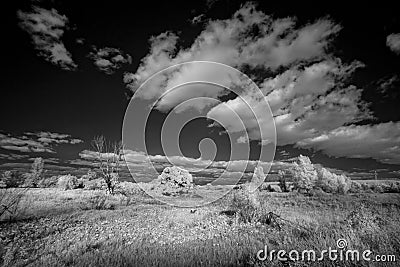 Landscape in infrared light Stock Photo