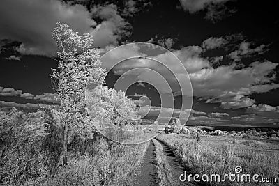 Landscape in infrared light Stock Photo