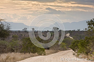 Landscape, kruger bushveld, Kruger national park, SOUTH AFRICA Stock Photo