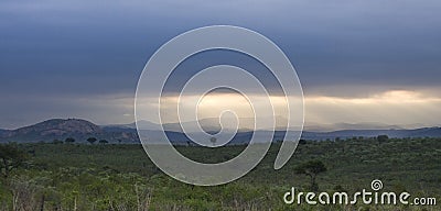 Landscape, kruger bushveld, Kruger national park, SOUTH AFRICA Stock Photo