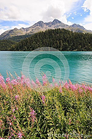 Lake Champfer Stock Photo