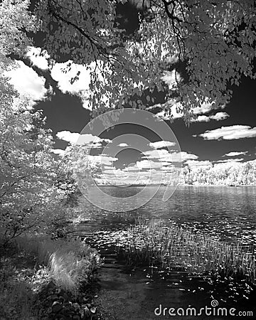 Landscape of a lake shot in infared Stock Photo