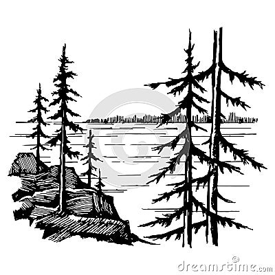 Landscape with lake and spruce fores Vector Illustration