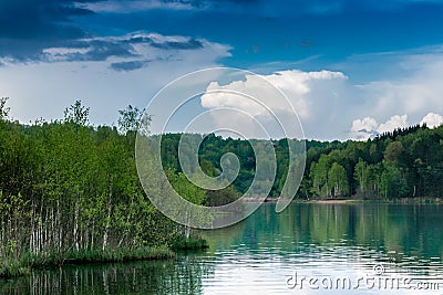 Lake landscape with thick birch forest and nice blue sky Stock Photo