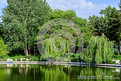 Lake and vivid green trees in Drumul Taberei Park (Parcul Drumul Taberei) also known as Moghioros Park, in Stock Photo