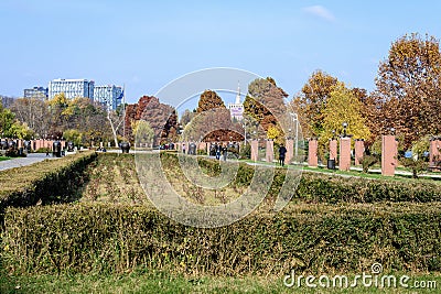 Landscape with large green trees with yellow and orange colored leaves and long walking alley in King Michael I Park (former Stock Photo