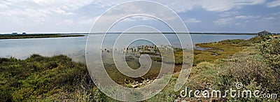 Landscape of the Las Marismas Del Odiel - the natural area in Andalucia, Spain Stock Photo