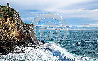Landscape of the lighthouse at the rocky cliffs of otago peninsula, together with flying birds over the sea. Stock Photo