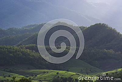 Landscape of the lined Green terraced rice field and farmer house behind the mountain with shadow light Stock Photo