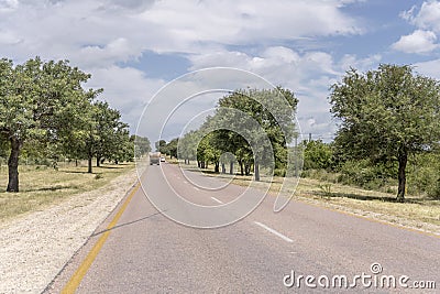 R40 tree-lined road near Timbavati, South Africa Stock Photo