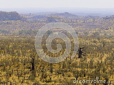 Landscape in Mapungubwe Stock Photo