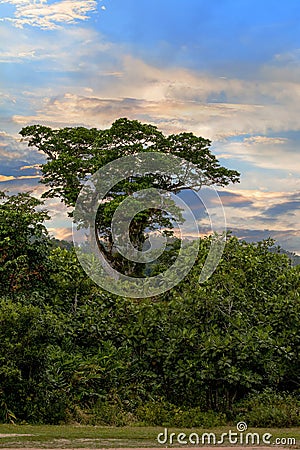 Landscape of Masoala National Park, Madagascar Stock Photo