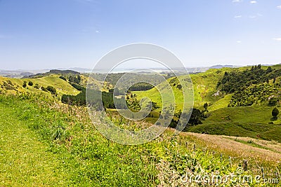 landscape Matamata Stock Photo