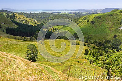 landscape Matamata Stock Photo