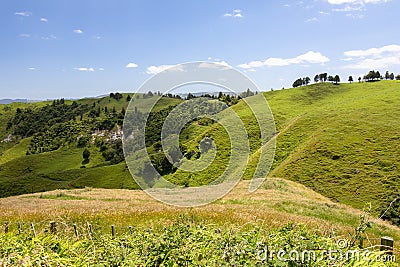 landscape Matamata Stock Photo