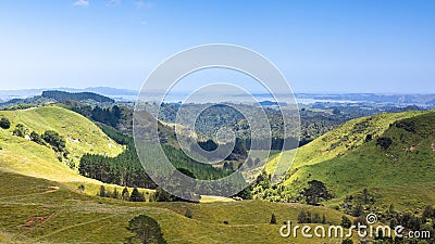 landscape Matamata Stock Photo