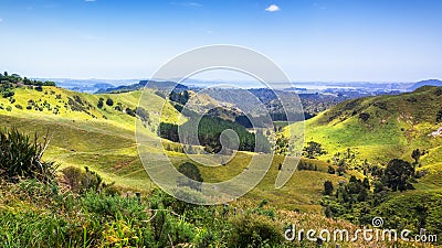 landscape Matamata Stock Photo