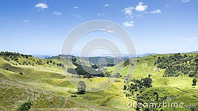 Landscape Matamata Stock Photo