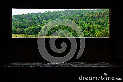 Landscape of Meadow with tree , Khao Yai National Park Thailan Stock Photo