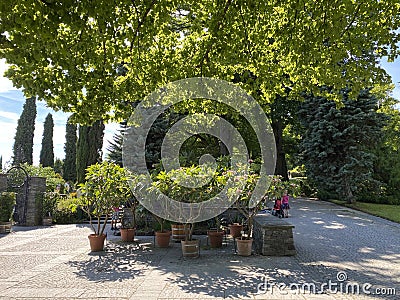 Landscape of the Mediterrannean Terrace or Mediterran-Terrassen - Flower Island Mainau on the Lake Constance or Die Blumeninsel Stock Photo