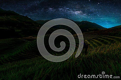 Landscape with Milky way galaxy. Night sky with stars and silhouette Photographer take photo over Rice fields on terraced in Mu C Stock Photo