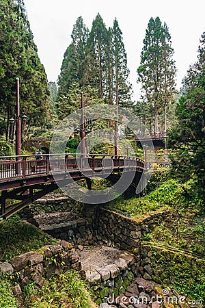 Landscape of the misty cypress and cedar forest and bridge in Alishan National Forest Recreation Area in winter in Chiayi County. Editorial Stock Photo
