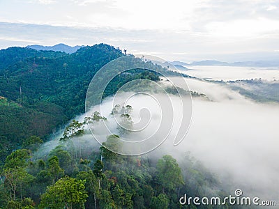 Landscape of misty mountain forest covered hills at khao khai nu Stock Photo