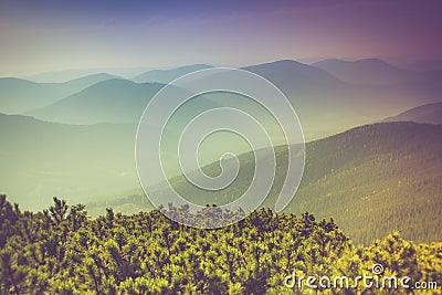 Landscape of misty mountain hills covered by forest. Stock Photo