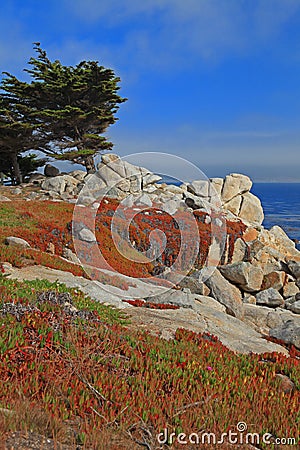 Landscape of Monterey 17 Mile Drive, California Stock Photo