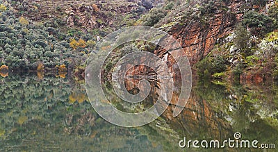 Landscape with mountain mirror reflection on a calm lake Stock Photo
