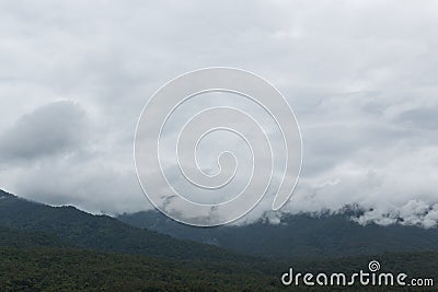 Landscape of mountain with misty rain Stock Photo