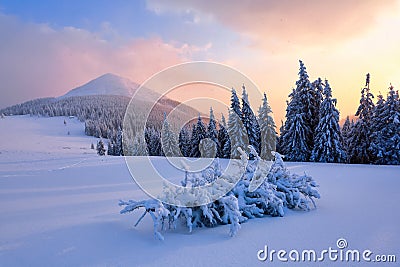 The landscape with mountain top and sunrise in warm colours. Stock Photo