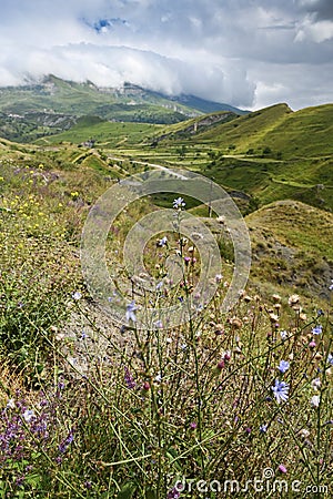 Landscape with mountains and fields with grass, flowers on a cloudy summer day Stock Photo