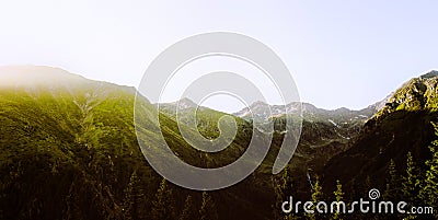 Landscape, mountains and forest background. Stock Photo