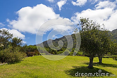 Landscape and Mountains, Kirstenbosch National Botanical Garden panorama, Cape Town Stock Photo