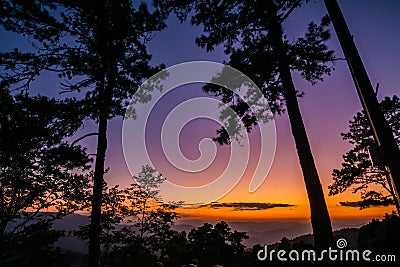 Landscape of mountains , sunset ,pine tree ,Camping tent ,Thailand Stock Photo