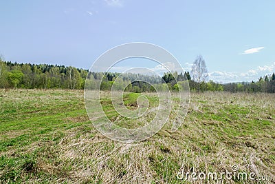 Landscape with mysteriously lying, dry grass. Stock Photo