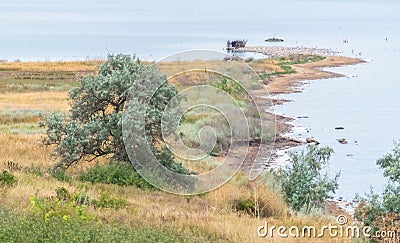 Landscape. A narrow triangular bank on the estuary Stock Photo