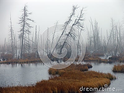 Landscape nature. Heavy fog hanging over the river. Gloomy autumn forest. Stock Photo