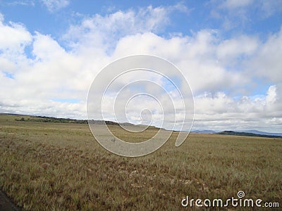 Landscape Stock Photo