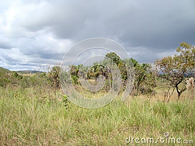 Landscape Stock Photo
