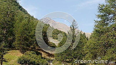 Landscape, nature, mountain, forest, tree Stock Photo