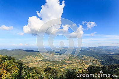 Landscape nature on top of a mountain at Phu Rua , Loei , Thailand Stock Photo