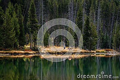 The landscape nature and world famouse geyser in Yellowstone national park in Wyoming , United States of America Editorial Stock Photo